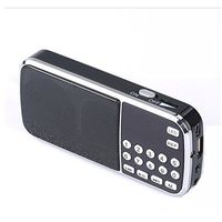 Portable Mini AM FM Radio Speaker Music Player, Micro SD/TF Card Slot, USB Charging Cord, Rechargeable Li-ion Battery, Earphone Jack (L-088AM Black)