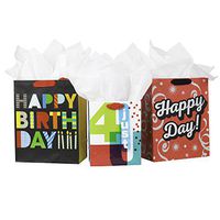 Hallmark Birthday Gift Bag Assortment with Tissue Paper (Pack of 3: 2 Large 13", 1 Medium 9") Happy Day