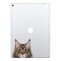 FINCIBO 5 x 5 inch Black Brown Maine Coon Cat Removable Vinyl Decal Stickers for iPad MacBook Laptop (Or Any Flat Surface)