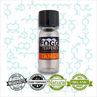 FOGG TERPENES Tangie (1 ml)