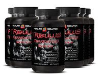 Tribulus Fruit Powder - TRIBULUS TERRESTRIS Extract 1000MG 60 Tablets - Boost Physical Performance (6 Bottles)