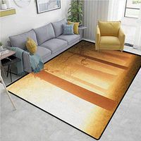 Magical Humorous Area Rug Kitchen, Foggy Mist Hazy Jungle with Sun Beams and Rays Spiritual Woodland Spiritual Nature Design, Durable Carpet Area rug - Living Dinning Room Bedroom Rugs and Carpets Tan