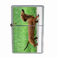 Dog Dachshund 02 Dual Torch Lighter