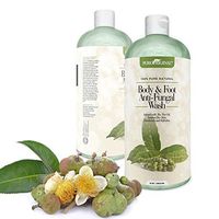 Toenail Fungus Treatment – Body and Foot Antifungal Wash – Fungus and Odor Remover Foot Fungus Treatment – Treat Athletes Foot, Ringworm, Jock Itch and Odors