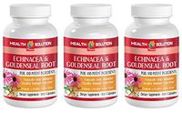 Echinacea purpurea herb - ECHINACEA and GOLDENSEAL Root - Soothe The Digestive System (3 Bottles)