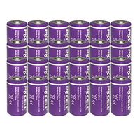 1/2AA Size 3.6V 1200 mAh ER14250 Lithium Batteries 24PC