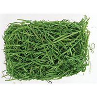 Basket Filler Excelsior Shred Green 10lb Bag