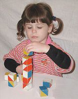 Sammons Preston ArmWeight (XLarge)