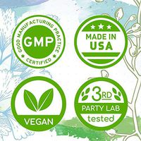 Artichoke B60 Alcohol-Free Herbal Extract Tincture, Organic Artichoke (Cynara scolymus) Dried Leaf (2 fl oz)