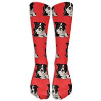 ZXX Men&Women Cute Border Collie Casual Mid-calf Socks Fashion Sports Novelty Below Knee Tube Stockings One Size