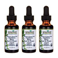 Swanson Hawthorn Berry Leaf & Flower Liquid Extract (Alcohol-Free) 1 fl Ounce (29.6 ml) Liquid (3 Pack)