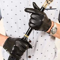 Yjdr Winter Leather Touchscreen Texting Warm Driving Lambskin Gloves 100% Pure Cold Weather Gloves (Color : Touch Plus Lining, Size : XL)