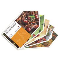 Active Minds: Nature Walker Autumn Photograph Book with Seasonal Textures | Specialist Alzheimer's/Dementia Activities & Games