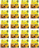 FILM WHOLESALE SunFlash Disposable Camera 35mm Film One Time Single Use D-10 FRESH 2020 (24-Pack)