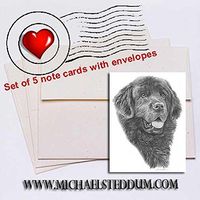 Michael Steddum Newfoundland Pencil Note Card Set