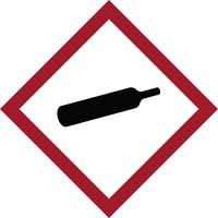 Brady 121214 Polyester GHS Severe Toxic Picto Label , Black/Red On White,  2" Height x 2" Width,  Pictogram "Servere Toxic"  (250 Labels per Roll, 1 Roll per Package)