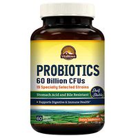 Vitalitown Probiotics + Prebiotics | 60 Billion CFUs 19 Strains | 60 Delayed Release Veg Caps | Shelf Stable, Stomach Acid & Bile Resistant | Digestive & Immune Support | Vegan, Non-GMO, Dairy Free