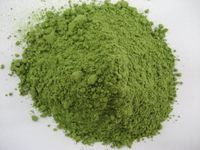 Wheatgrass Juice Powder - Organic Certified - Our Finest Wheatgrass Juice (8 oz (1/2 lb))