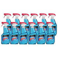 Windex Professional Glass & Surface Cleaner, Capped 32 Oz (Pack Of 12)