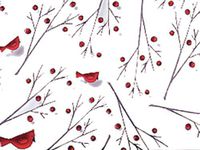 Pack Of 1, 30" X 100' 1.0 Mil Cardinal Christmas Print Cello Rolls Made In USA