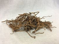 龙胆草 | Radix Gentianae