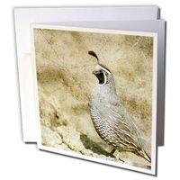3dRose California Quail With Textures - Greeting Cards, 6 x 6 inches, set of 12 (gc_12394_2)