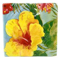Northeast Home Goods Heavenly Hibiscus Flowers 2-Ply Disposable Dinner Napkins 6.5-Inch, 36 Count