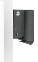 Bluesound WM 100 Wall Mount for Pulse Flex - Black