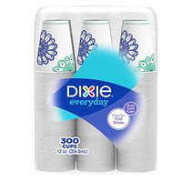 Dixie Paper Cold Drink Cup 12oz 300ct