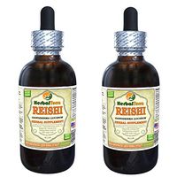 Reishi Mushroom (Ganoderma Lucidum) Tincture, Organic Dried Mushrooms Liquid Extract (Brand Name: HerbalTerra, Proudly Made in USA) 2x2 fl.oz (2x60 ml)