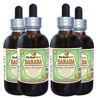 Banaba, Nicker Bean (Lagerstroemia Speciosa) Dried Leaf Alcohol-Free Liquid Extract (Brand Name: HerbalTerra, Proudly Made in USA) 4x4 oz