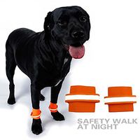 Meolin Dog Support Claw Compression Package With Fluorescent Wrist Strap Dog Canine Front Leg Brace,Orange m code,M