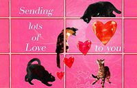 Sending Lots of Love Note Card, Handmade Blank Cards and Sets By Deborah Julian (10)