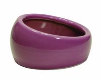 Living World Ergonomic Dish, Pink, Small