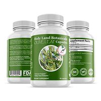 Holy Land Botanicals Organic Olive Leaf Extract 500 mg 90 Caps