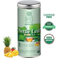 Nettle Leaf Tea Fruit flavor- USDA Organic- No Caffeine- 20 Biodegradable Sachets- Up to 40 servings