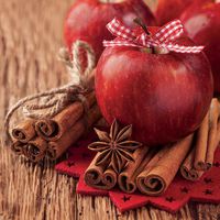 Christmas Apples with Cinnamon Paper Cocktail Napkins 40pcs 10"x10"