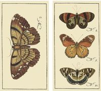 HomArt Large Decorative Butterfly Insect Matches