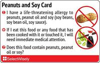 Peanuts and Soy Allergy Translation Card - Translated in Japanese or Any of 9 Languages