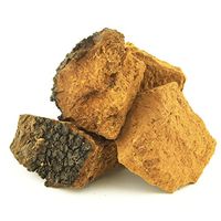 Tao Chaga Wild Harvest Canadian Chaga Mushroom (Inonotus obliquus) (Chunk 1 lb (454g))