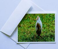 Bird Note Cards Original Elegant Photographic Textured White Blank 4.25"x 5.50" Boxed Set 8 W/Matching Envelopes In Plastic Jacket Thank You Invitations Birthdays Greetings Just Because