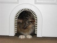 Cat Door - The Original Cathole Interior Pet Door - The Only Cat Door With A Cleaning / Grooming Brush.