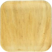 Frondware 10" Palm Leaf Square Disposable Plates - Pack of 25 - Compostable - 100% Natural - Chemical Free - USDA Certified Biobased Product