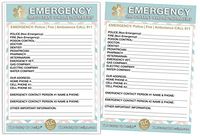 Emergency Contact Cards in Magnetic Sleeve Home Alone 5” x 7” Doctor Approved Refrigerator Safety Important Phone Numbers Call List (2 Cards and 1 Magnetic Sleeve, Pastel Medical ICE)
