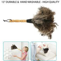 13" Durable & Hand Washable Ostrich Feather Duster Durable Dust Collecting Cleaning Tool in Wool Shop for Dusting: Mini-Blinds, Collectibles, Furniture, and All General Dusting