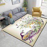 Abstract Home Decor Moiré Kids' Rugs, Peacock Bird Tail Feather Plume Paisley Pattern Ornamental Decorating, Durable Carpet Area Rug - Living Dinning Room Bedroom Rugs and Carpets(2'x 6')