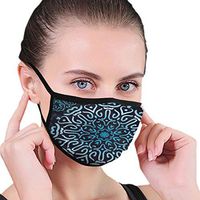 Mouth Masks for Dust Protection Anti Face Mask Washable Earloop Mask Blue Mandala