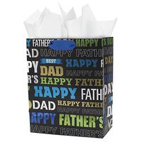 Hallmark 5KFB1580 Bag with Tissue, Medium Dad
