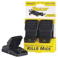 Mouse Trap, 2-1/2 in. L, 5 in. W, PK2