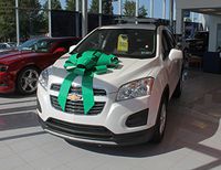 30" Magnetic Car Bows - Green